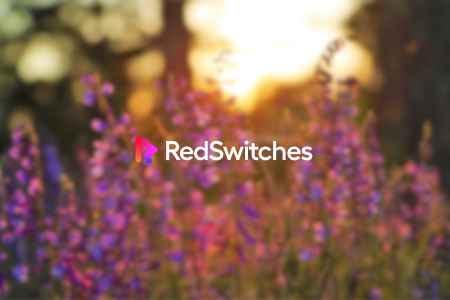 RedSwitches Review {{%year}}: Is It Right Fit for Your Budget?