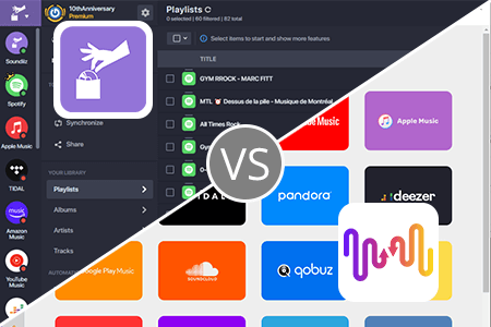 FreeYourMusic vs Soundiiz: Which Is NOT the Safest Tool?