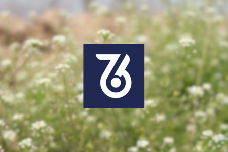 TunesBank Review {{%year}}: 100% Quality with No Restriction