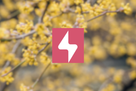 CopyTrans Studio Review {{%year}}: Is It Worth Your Time?