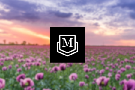 MyMemo Review {{%year}}: Can It Transform Your Workflow?