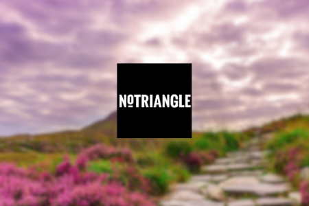 NoTriangle Review {{%year}}: Benefits & Hidden Minuses