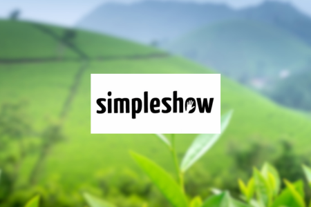 simpleshow Review {{%year}}: Features & Pricing