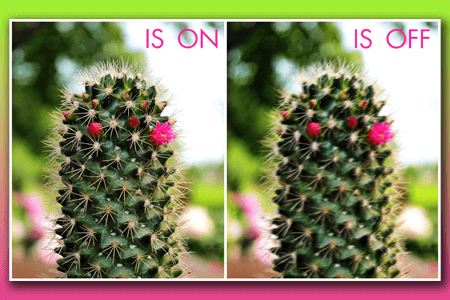 13 Best Cameras With IBIS To Say Goodbye to Shaky Photos