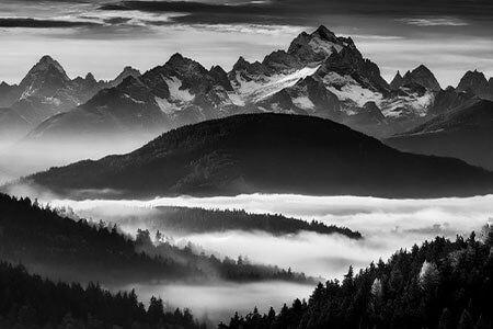 Use Value in Photography to Make Photos Like a Pro