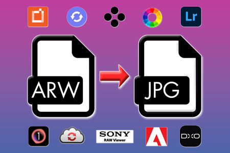 10 Best ARW To JPG Converters in {{%year}} (Desktop & Online)