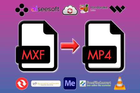 10 Best MXF To MP4 Converters in {{%year}} (Desktop & Online)