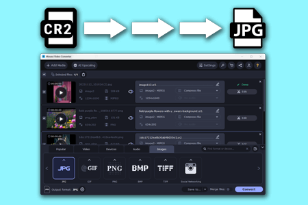 The Best CR2 to JPG Converters in {{%year}} [Online & Desktop]