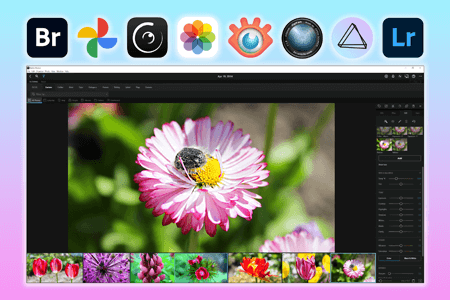 9 Best Mylio Photos Alternatives in {{%year}}: Reviewed & Tested