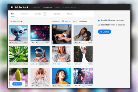 Adobe Stock Standard vs Extended License: Key Differences