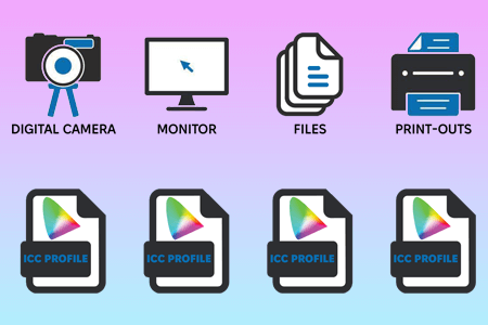 Which ICC Profile to Use for Accurate Color Management | Fixthephoto Recommends