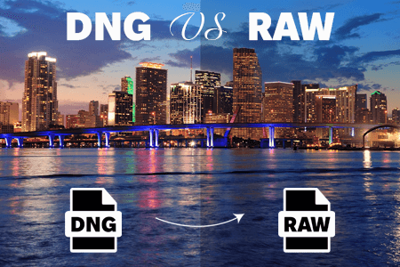 DNG vs RAW: What to Choose for Shooting and Storing?