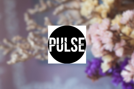 Pulse Review {{%year}}: Pros & Cons