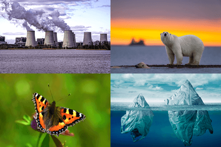 7 Ways to Promote Sustainability in Photography