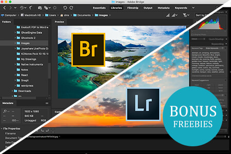 Adobe Bridge vs Lightroom: Which Program to Choose