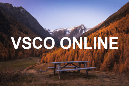 Free VSCO Online Editor