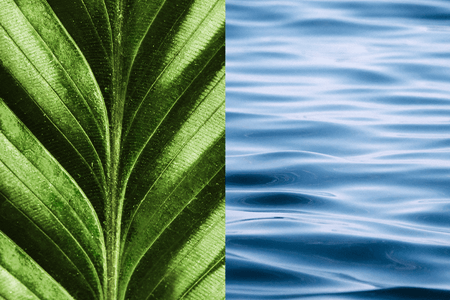 Examples of Texture in Photography: Settings & Tips