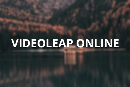 Free Videoleap Online Editor