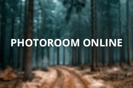 Free Photoroom Online Editor