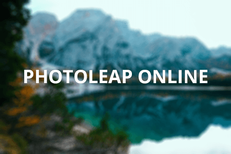 Free Photoleap Online Editor