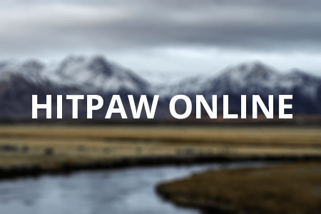 Free HitPaw Online Editor