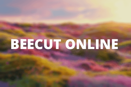 Free BeeCut Online Editor