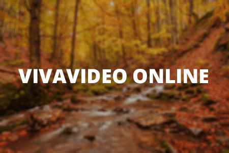 Free VivaVideo Online Editor
