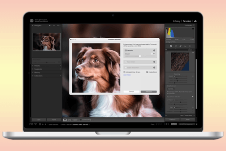 Lightroom AI: Updated Features to Make Editing Easy