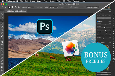 Pixelmator Pro vs Photoshop: What Is Better?