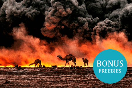 18 Incredible Photojournalism Ideas & Examples