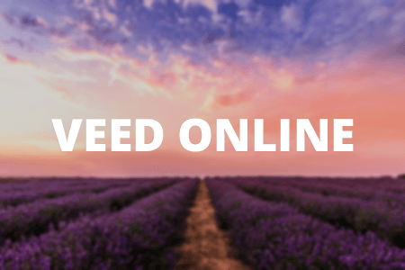 Free Veed Online Editor