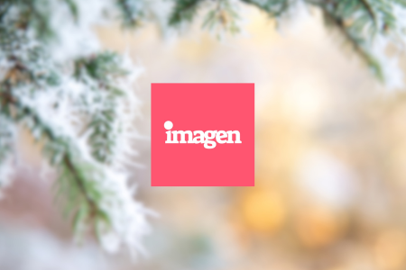 Imagen AI Review from Wedding Photographer [2000+ Edits]