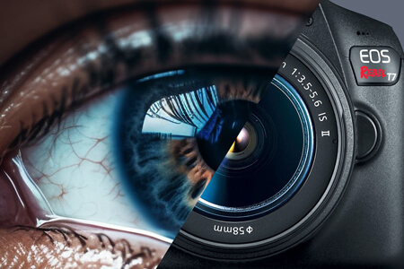 What Makes the Human Eye and Camera So Different