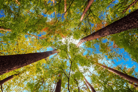 POV in Photography: Tips & Examples