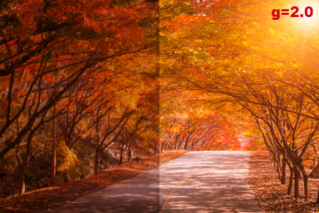 Gamma Correction in Image Processing: Simple Guide