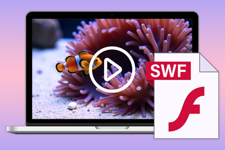 5 Best SWF Players [{{%year}} FixThePhoto Choice]