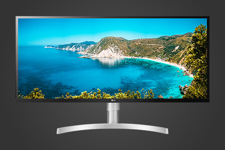 10 Best LG Monitors in 2020