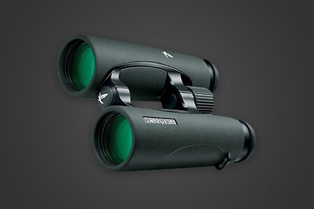 7 Best Binoculars for Whale Watching in 2020