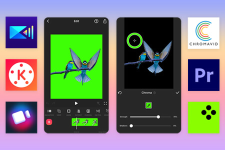 9 Best Green Screen Apps in 2020