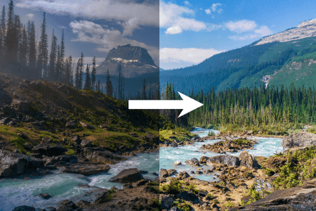 Cameras with Highest Dynamic Range: Rankings & Comparison