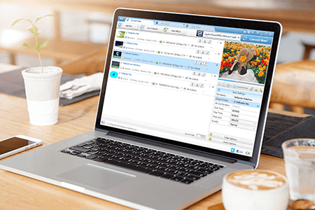 Any Video Converter Crack