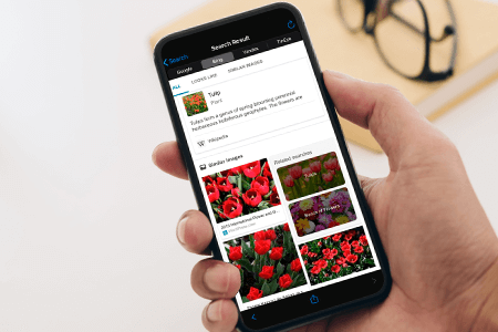 {{%year}}の8つの最高の逆画像検索アプリ