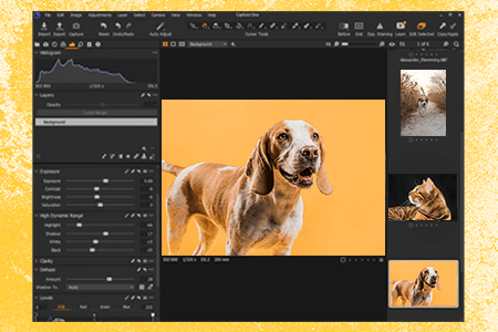 Capture One 9 Download