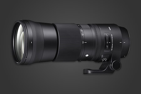 6 Best Lenses for Canon 70D in {{%year}}