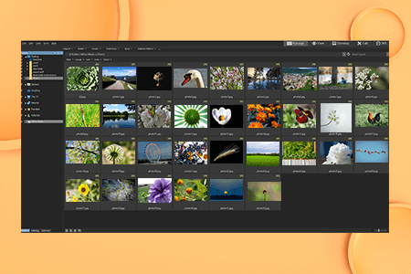 ACDSee Free Download for Windows 10 (Latest Version)