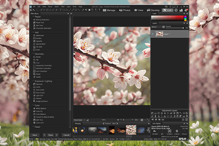 ACDSee 20 Download ({{%year}} Latest Version)