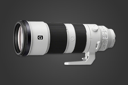 7 Best Telephoto Lenses in {{%year}}