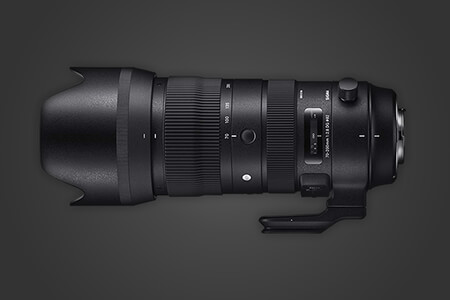 9 Best 70-200mm Lenses in 2020