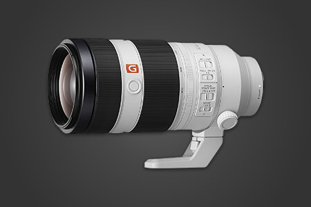 7 Best Lenses for Bird Photography in {{%year}}