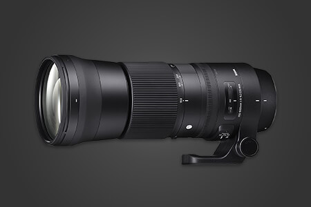 8 Best Sigma Lenses in 2020